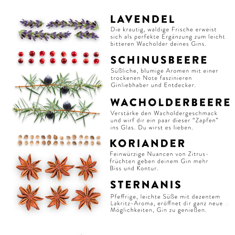 Gin Gewürze, Botanicals Geschenkset - 5x Botanicals und Kräuter zum Verfeinern